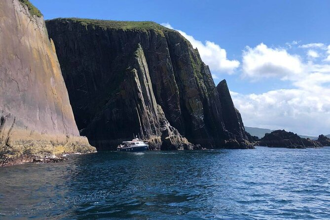 1 hour Dingle Bay Cliff Tour - Eask Tower and the first coastal views