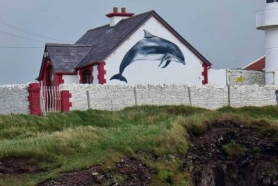 1 hour Dingle Bay Cliff Tour