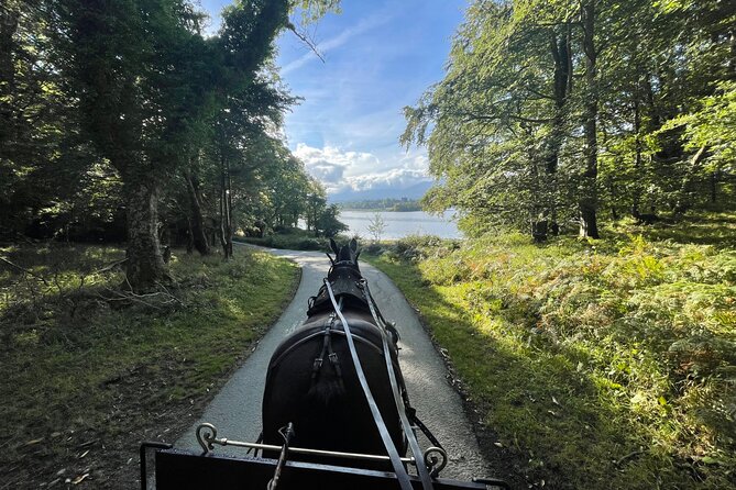 1 Hour Guided Carriage Tour in Killarney National Park - Quick reasons to consider the ride