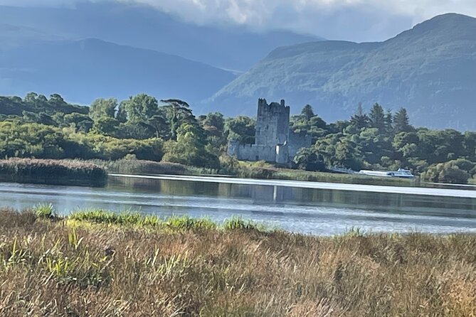 1 Hour Guided Carriage Tour in Killarney National Park - Price, private touring, and practical value