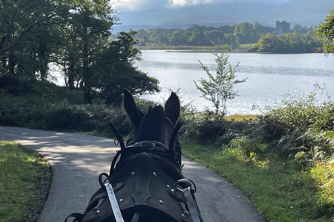 1 Hour Guided Carriage Tour in Killarney National Park - Best time to book and what to bring