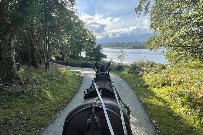 1 Hour Guided Carriage Tour in Killarney National Park - Through Deenagh Lodge and the park entrance