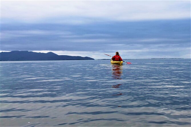 2.5 Hour Guided Sea Kayaking in Roundstone Bay - The Optional Push Toward Inishlacken Island