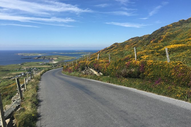 2-Day Connemara and Galway Bay Rail Tour from Dublin - The return to Dublin and the overall pace
