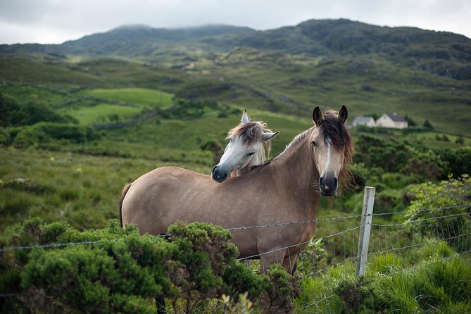 2-Day Connemara and Galway Bay Rail Tour from Dublin - Riding from Heuston Station to Galway