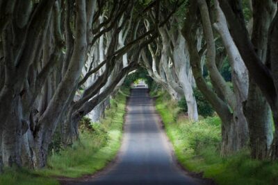 2-Day ‘Game of Thrones’ Rail Tour from Dublin Incl. Belfast and Giant’s Causeway