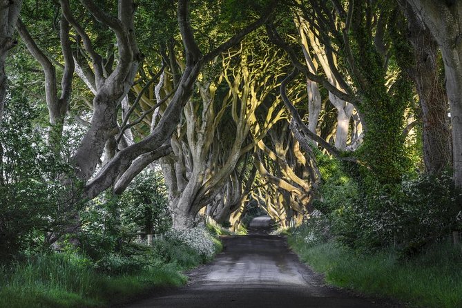 2-Day Northern Ireland Tour from Dublin Including Belfast and Giants Causeway - Dunluce Castle and the limits of a photo stop