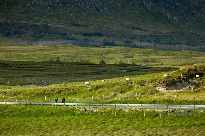 2-Day Western Ireland Tour from Dublin:Including Galway and Cliffs of Moher - Ninety minutes at the Cliffs of Moher
