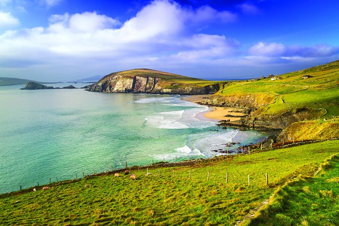 3-Day Dingle, Killarney and the Wild Atlantic Way Small-Group Tour from Dublin - How the small group changes the experience