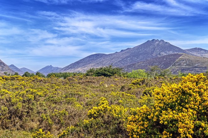 3-Day Discover Northern Ireland Small-Group Tour from Dublin - The guide can make or break the experience