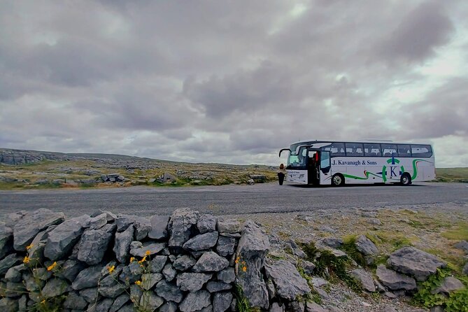4-Day Guided Tour to Discover Ireland and Dublin - Day four: Giant’s Causeway and Belfast