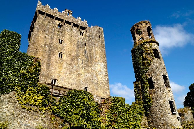 4-Day South West Ireland Tour from Dublin - Guides, buses, and the daily rhythm