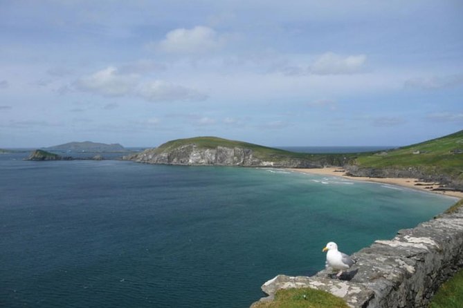 5-Day Northern Ireland and Atlantic Coast Small-Group Tour from Dublin - Mayo, famine history, and Achill Island