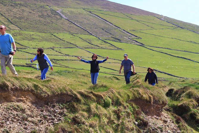 6-Day Magical Southern Explorer Small Group Tour - Day six: Burren farming and an afternoon in Galway
