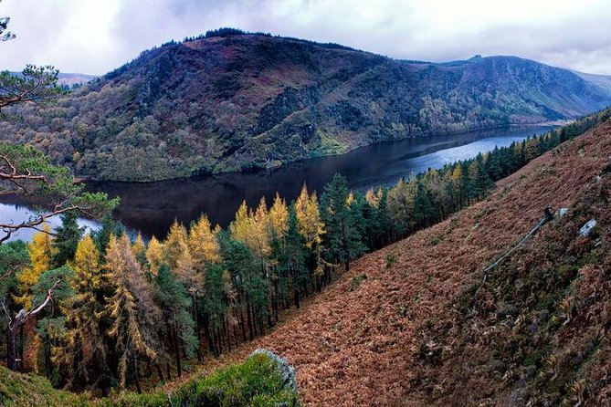 6-Day South of Ireland Tour from Dublin - Day four: the Ring of Kerry and Killarney National Park