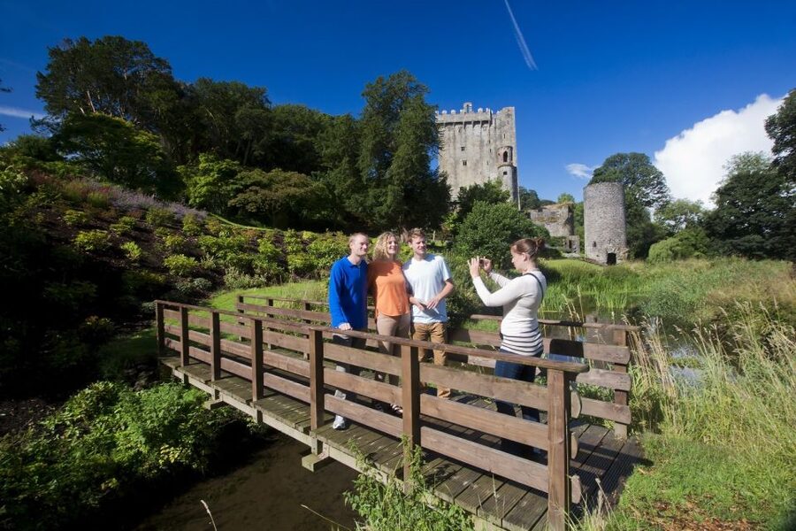 6-Day Tour of Southern Ireland from Dublin - Accommodation and meals: useful coverage, limited detail