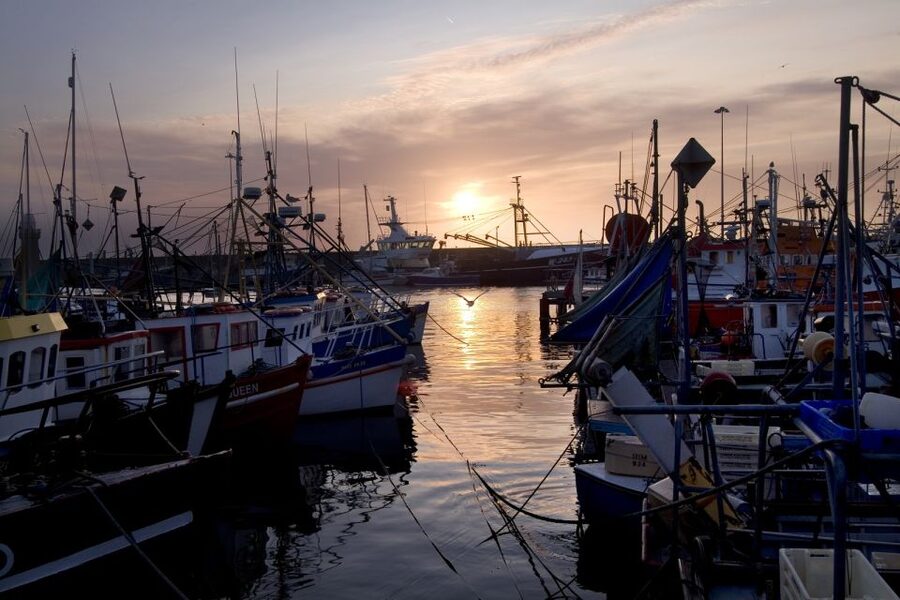 6-Day Tour of Southern Ireland from Dublin - Galway supplies the evening energy
