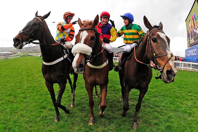 A Day At The Races & the Horse Lovers Tour - Why this day works for horse lovers