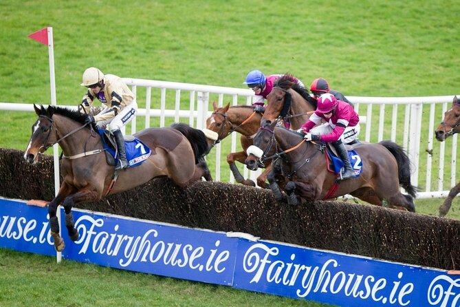 A Day At The Races & the Horse Lovers Tour - From breeding farm to race day