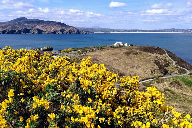 A Walk Through Time in Fort Dunree - The one-hour walking route and what to expect