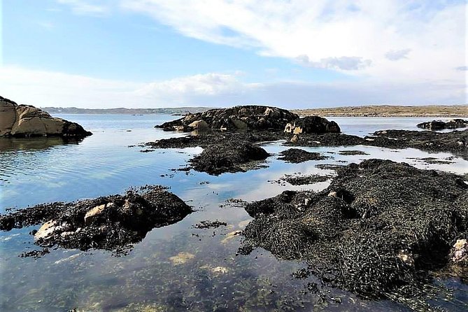 Abalone farm tour and tasting with coastal seaweed walk. Guided. 2 hours - Is $108.79 a fair price?