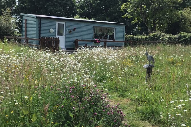 Aran Knitting, History and Heritage in the Burren - A look inside Stephanie’s garden studio