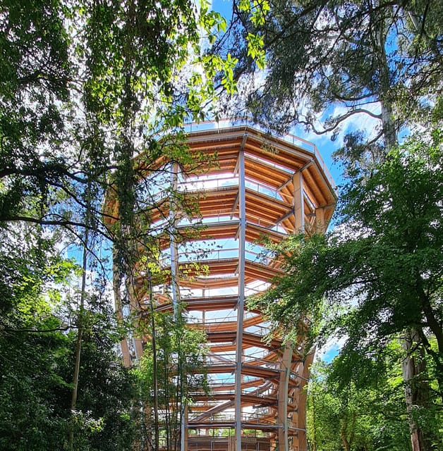 Avondale: Beyond the Trees Treetop Walk & Tower Entry Ticket - Practical details for different visitors