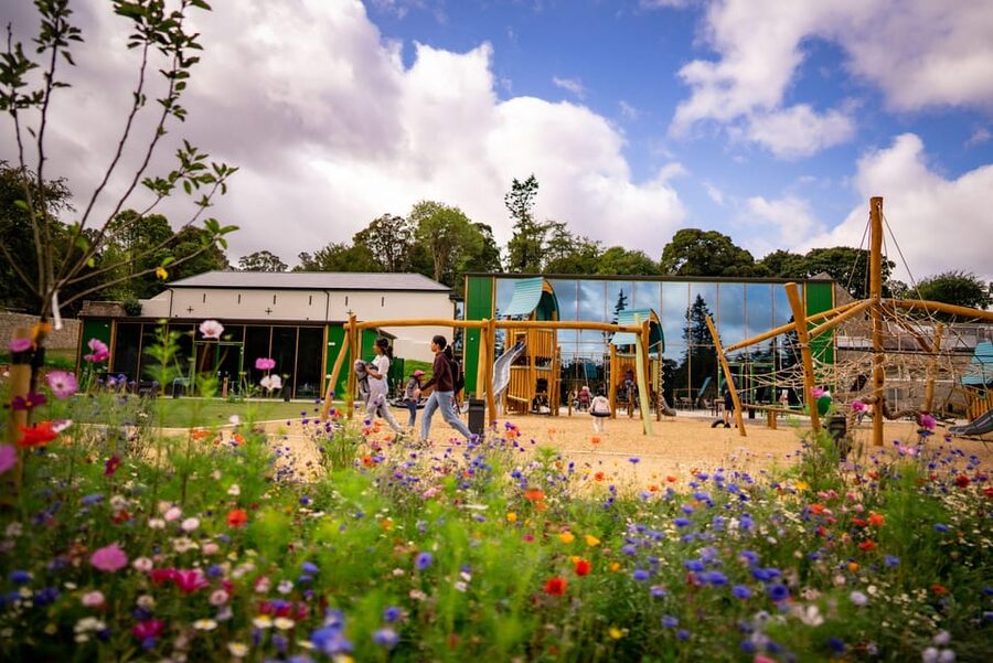 Avondale: Beyond the Trees Treetop Walk & Tower Entry Ticket - Play stations that keep children moving
