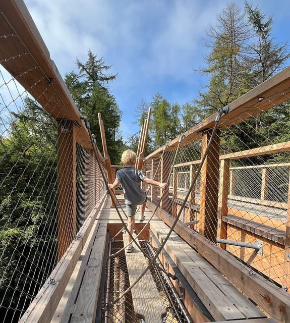 Avondale: Beyond the Trees Treetop Walk & Tower Entry Ticket - The 38-meter platform and Wicklow views