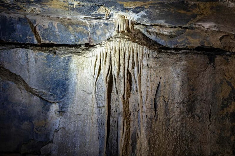 Ballyvaughan: Aillwee Burren Experience Entry Ticket - Key points at a glance