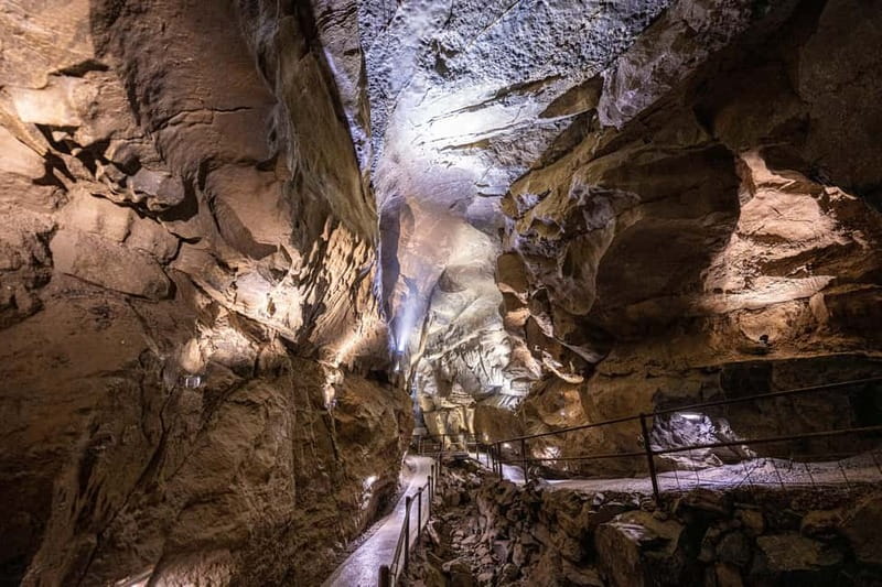 Ballyvaughan: Aillwee Burren Experience Entry Ticket - Inside Aillwee Cave for 45 minutes