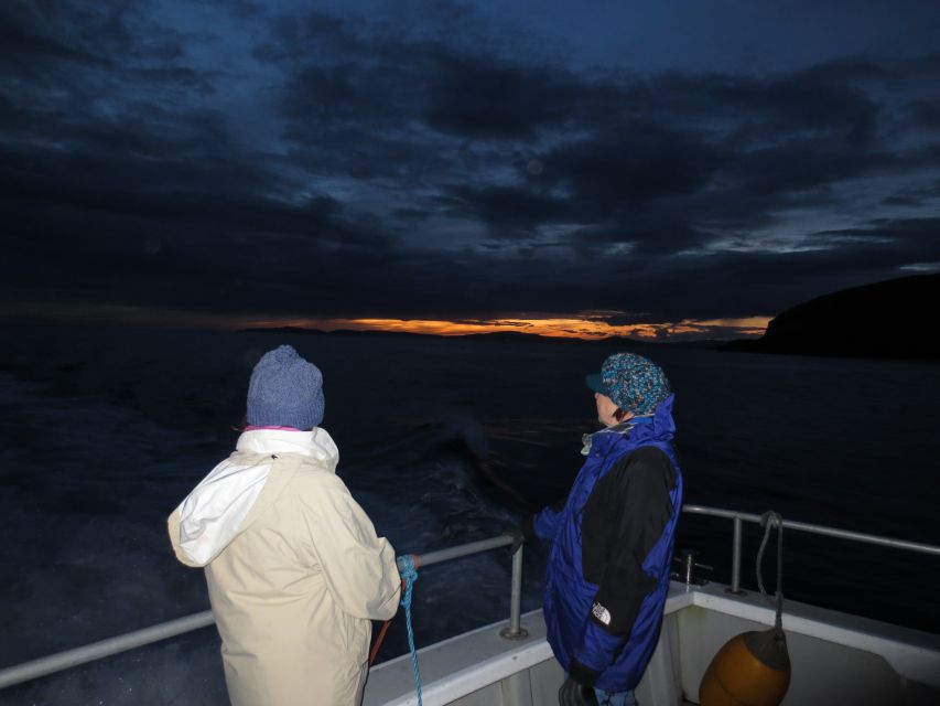 Baltimore Harbor: Sunset Cruise to Fastnet Rock Lighthouse - Circling Fastnet Rock Lighthouse