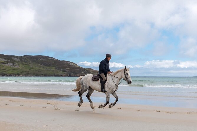 Beach & countryside horse riding outside Westport. Guided. 1 hour - What each riding level can expect