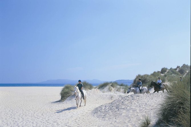 Beach & countryside horse riding outside Westport. Guided. 1 hour - The horses and the people make the difference