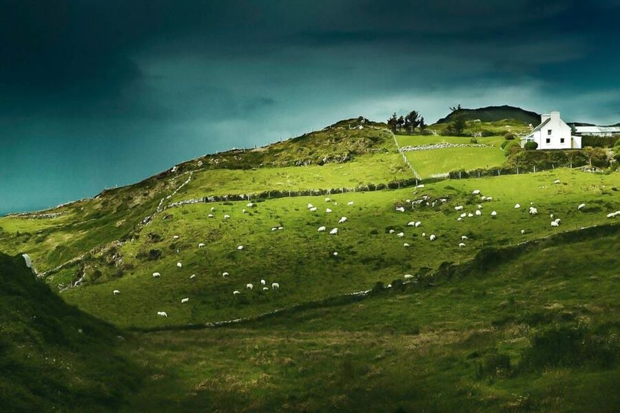 Best of Ireland 6-Day Backpackers Economy Tour - Day two: the Antrim Coast and Giant’s Causeway