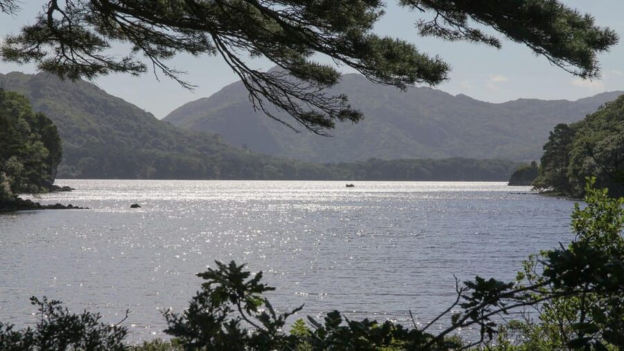 Best of Killarney: Private Walking Tour with a Local - Who will get the most from this Killarney walk?