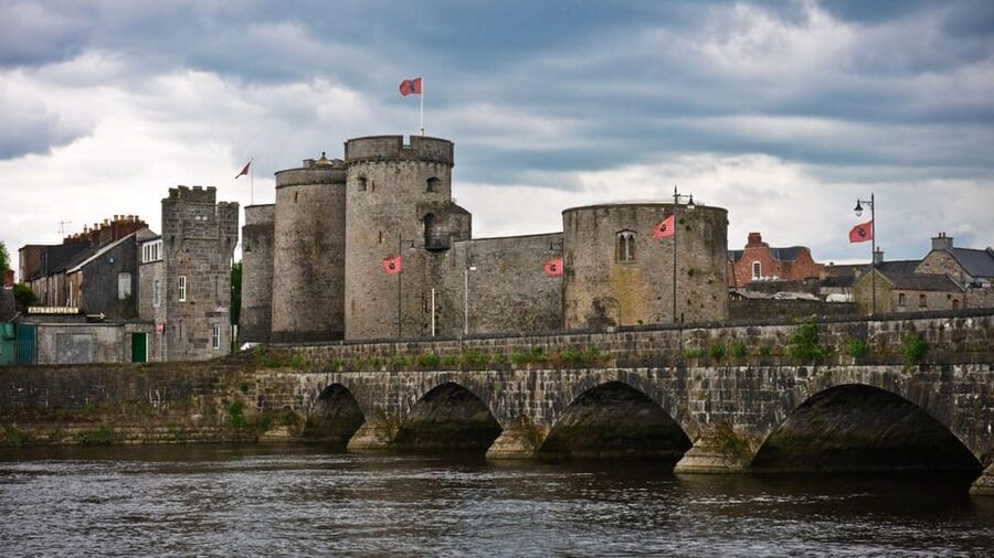 Best of Limerick: Private Walking Tour with a Local - Walking comfort, timing, and access