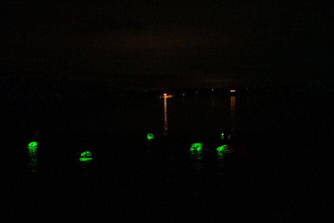 Bioluminescent Swim Experience in West Cork with Storytelling - Key points to know before booking