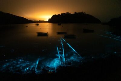 Bioluminescent Swim Experience in West Cork with Storytelling