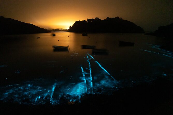 Bioluminescent Swim Experience in West Cork with Storytelling - Wetsuits, briefing, and the move into darkness