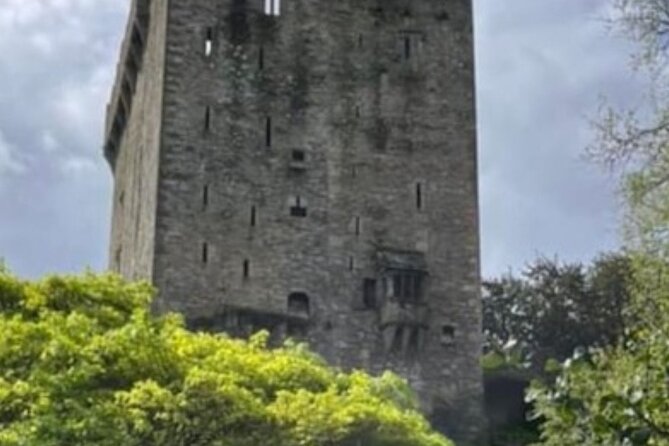 Blarney Castle and Cork City 2025 award winning minibus tour - Saint Fin Barre’s Cathedral and Cork’s older story