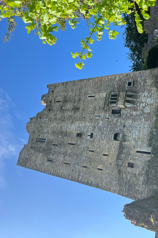 Blarney Castle and Cork City:Private taxi tour . - St. Finbarr’s Cathedral and Cork’s grand architecture