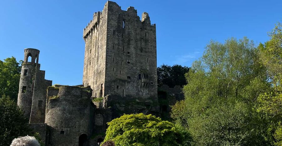 Blarney Castle and Cork City:Private taxi tour . - City Hall and Cork during the War of Independence