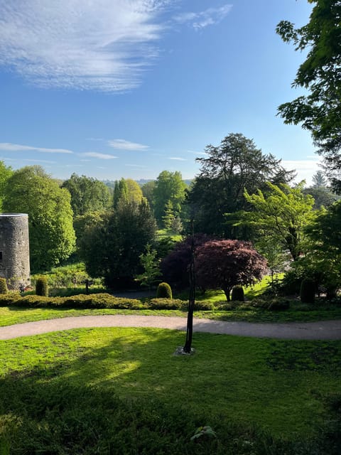 Blarney Castle and Cork City:Private taxi tour . - Blarney Castle and the famous stone
