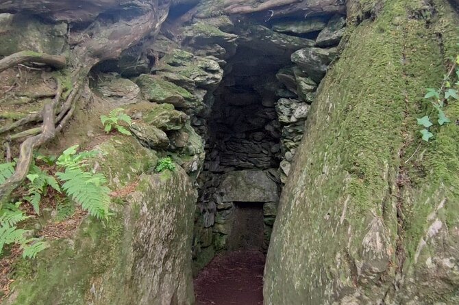 Blarney Castle Cork City and Jameson Distillery Small groups - Guides, drivers, and the small-group feel