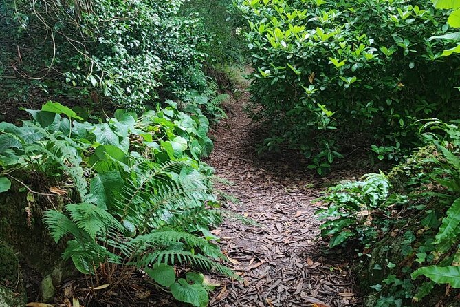 Blarney Castle Cork City and Jameson Distillery Small groups - Who should book this Cork excursion?