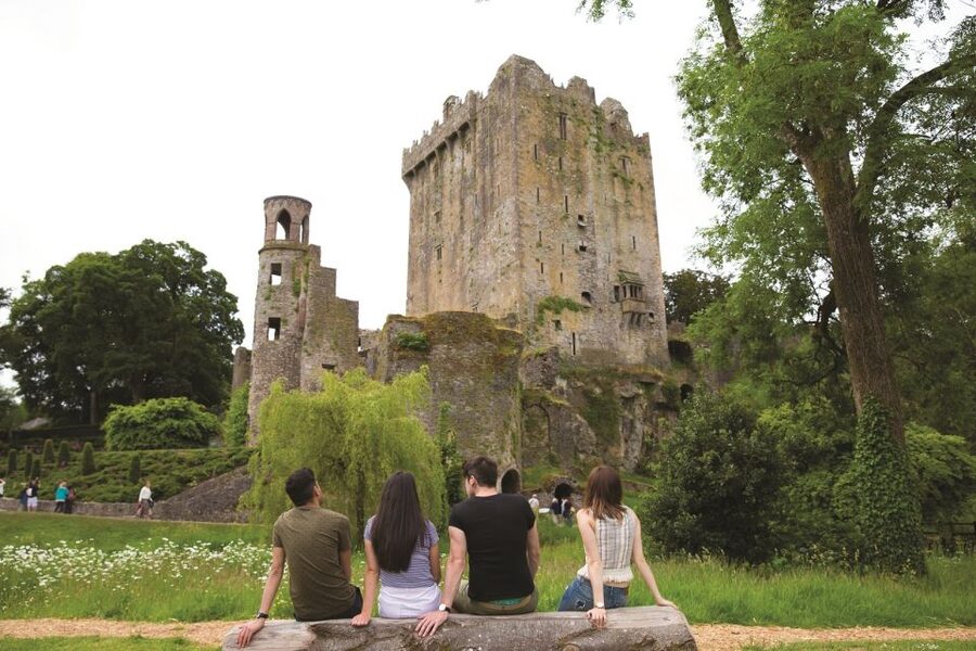 Blarney Castle Full-Day Tour from Dublin - Five useful things to know before you book