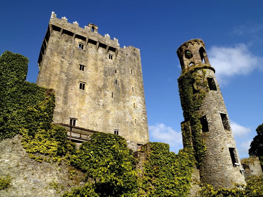 Blarney Castle Full-Day Tour from Dublin - Why the gardens improve the visit