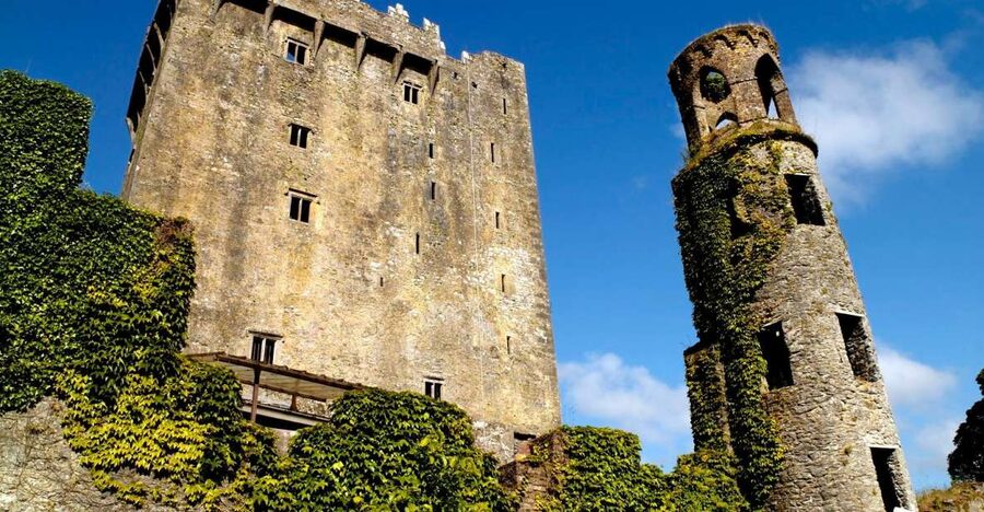 Blarney Castle Full-Day Tour from Dublin - A guide-led ride with plenty of personality
