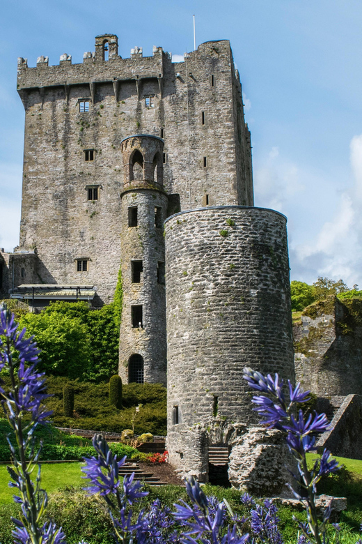 Blarney Castle: Private Guided Day Tour from Dublin - A long Irish day from Dublin